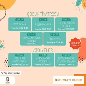 optium outlet avm